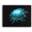 Blue and White Daisy Hot on Sale