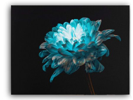 Blue and White Daisy Hot on Sale