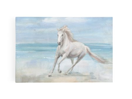 Gallop On The Beach For Cheap