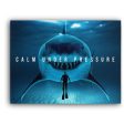 Calm Under Pressure Fashion