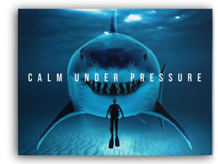 Calm Under Pressure Fashion