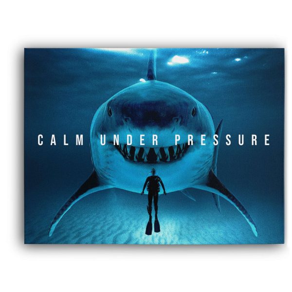 Calm Under Pressure Fashion