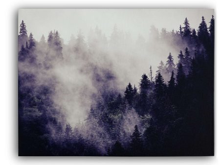 Misty Forest II Online