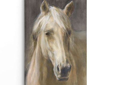 Palomino on Sale