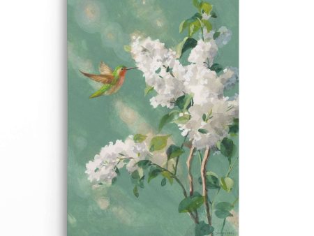 Hummingbird Spring I For Sale