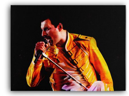 Freddy Mercury Online now