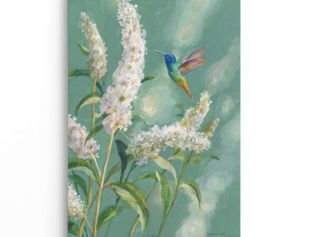 Hummingbird Spring II For Discount