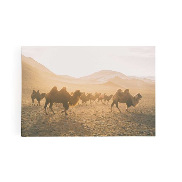 Camels on the Move For Sale