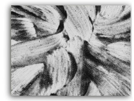 Black & White Flower on Sale