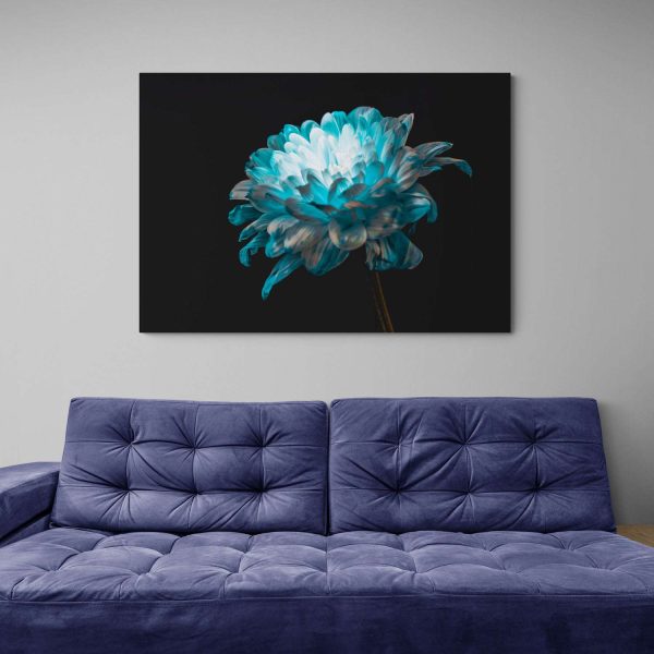 Blue and White Daisy Hot on Sale