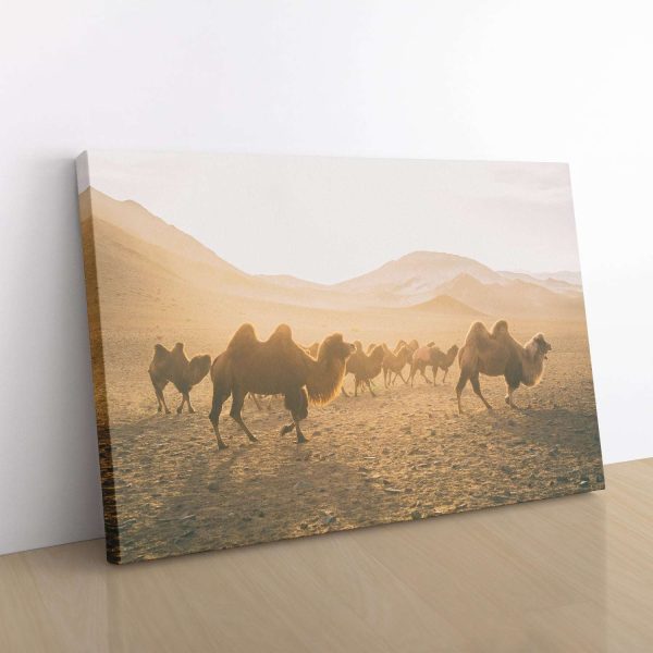 Camels on the Move For Sale