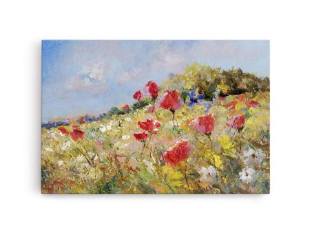 Summer Meadow Poppies Hot on Sale