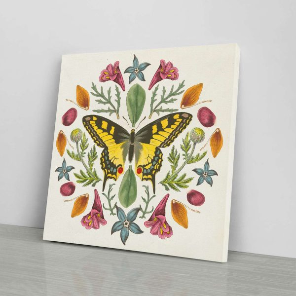 Butterfly Mandala III Online Hot Sale