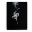 Ballet Dancer Underwater Discount