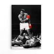 Ali v Liston Discount