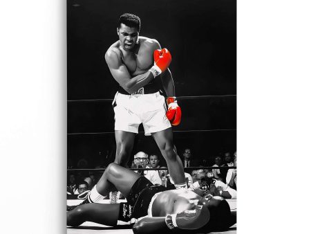 Ali v Liston Discount