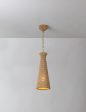 Paden Pendant Light Cheap