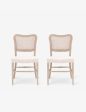 Aniston Dining Chair (Set of 2) Supply