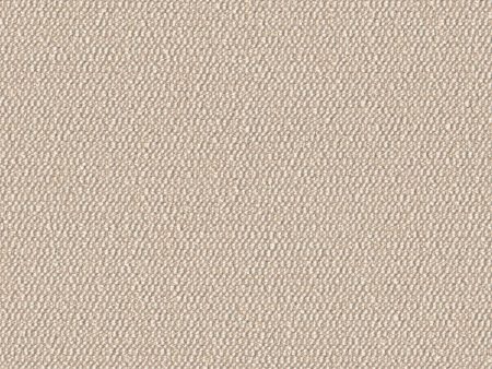 Demi Boucle - Spun Sugar - 2005 - 13 - Half Yard For Discount