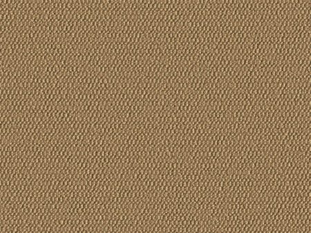 Demi Boucle - Sanddollar - 2005 - 14 - Half Yard For Cheap