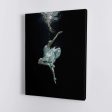 Ballet Dancer Underwater Discount