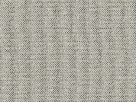 Texture Map - Trace Fossil - 2004 - 04 - Half Yard Online Hot Sale