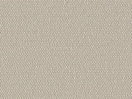 Demi Boucle - Wishbone - 2005 - 03 - Half Yard For Cheap