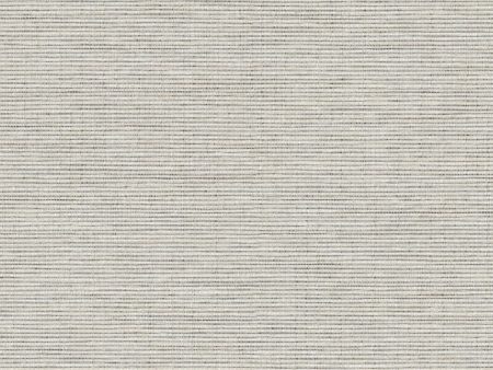 Impasto - Spackle - 7021 - 02 - Half Yard Online now