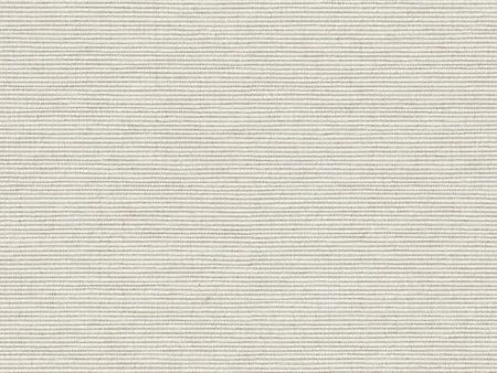 Impasto - Gesso - 7021 - 04 - Half Yard Discount