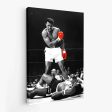 Ali v Liston Discount