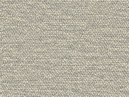 Wooly Wooly - Whisper - 4123 - 01 - Half Yard For Sale