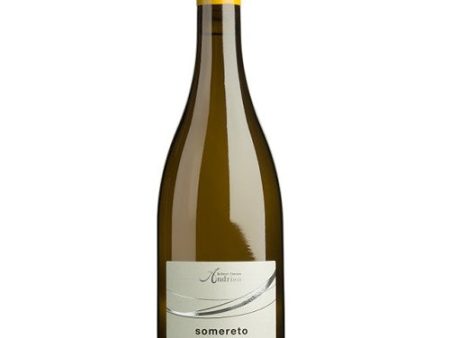 Andriano Chardonnay 2019 - 750ML For Discount