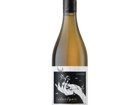 Cataclysm Chardonnay 2020 - 750ml Online