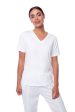 Basics v-neck short sleeve t-shirt Online Sale