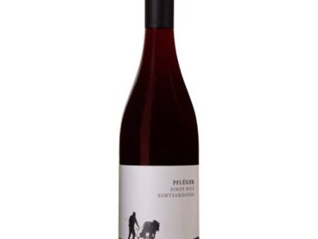 Pfluger  Buntsandstein  Pinot Noir 2023 - 750ML Online Hot Sale