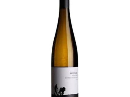 Pfluger  Buntsandstein  Dry Riesling 2022 - 750ML Online now