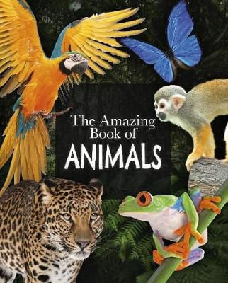 Dr Michael Leach: The Amazing Book of Animals [2019] paperback Online Sale